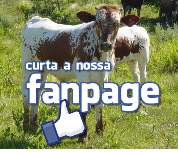 CURTA NOSSA FAN PAG